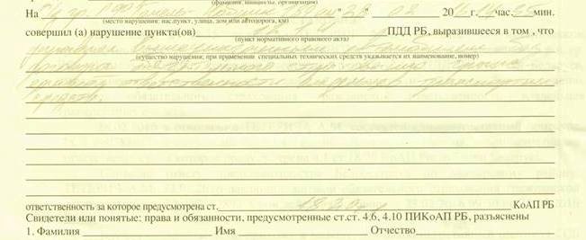 Выдержка из протокола 1